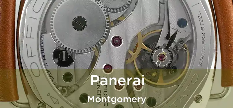 Panerai Montgomery