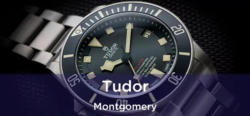 Tudor Montgomery